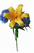 Image result for Flower Art Wallpaper iPhone