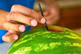Image result for Watermelon Drinks Coco