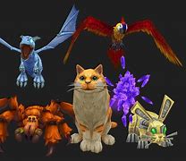Image result for WoW Pet Nate