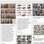 Image result for James Mollison Photography Typology