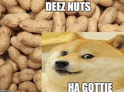 Image result for Funny Nut Memes