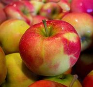 Image result for Apple Food