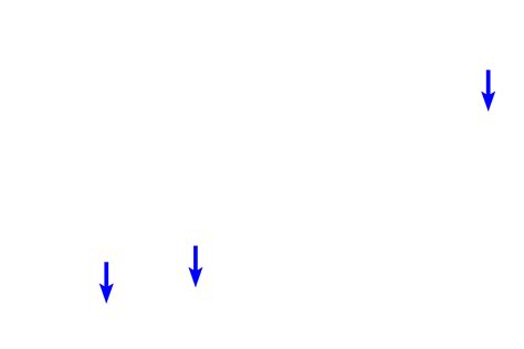Image result for Python Delphi Snake