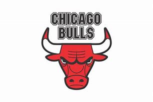 Image result for Bulls Team Logo