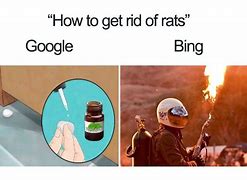 Image result for Google vs Bing Search Results Meme