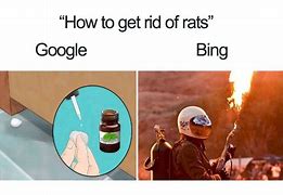 Image result for Google vs Bing Bike Fast Meme