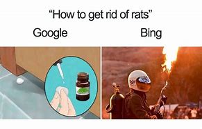 Image result for Searching Google On Bing Meme