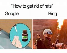 Image result for Why Is Bing a Meme