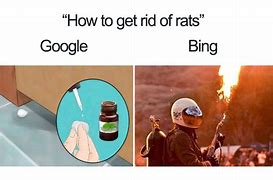 Image result for Bing Funny People