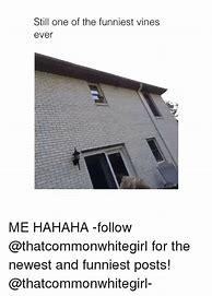 Image result for Funny Vine Pics