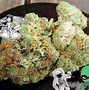 Image result for Fire OG Lemon Kush