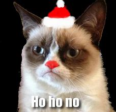 Image result for Merry Christmas Grumpy Cat Meme