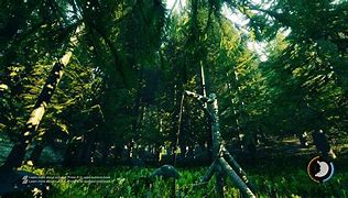 Image result for Forest 4K Wallpaper iPhone