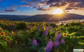 Image result for Nature Windows Lock Screens