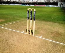 Image result for Cricket Stumps Aesthetic
