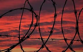 Image result for Barbed Wire Silhouette