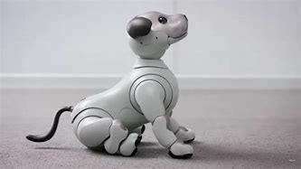 Image result for Aibo Feature