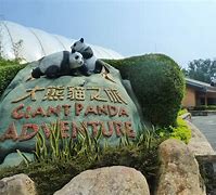 Image result for Ocean Park Panda Village Hong Kong