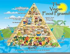 Image result for Why Are Some People Vegan