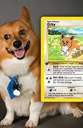 Image result for Custom Pokemon Cards Pet
