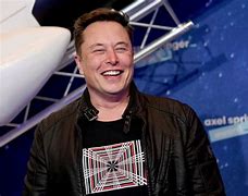 Image result for Elon Musk Fortuna