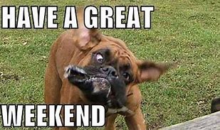 Image result for Have a Fab Weekend Meme