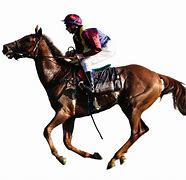 Image result for Horse Racing Prints