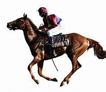 Image result for Newmarket Horse Racing