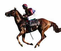 Image result for Daily Horse Racing Form