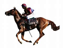 Image result for Victorian Horse Racing