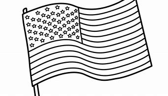 Image result for USA Flag Black White