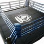 Image result for Home Boxing Ring