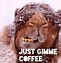 Image result for Friday Coffee Meme