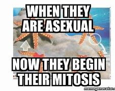 Image result for Asexuality Meme Mitosis