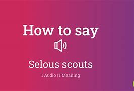 Image result for Selous Scouts
