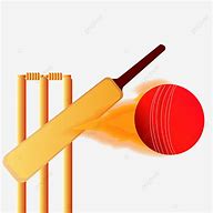 Image result for Cricket Bat Ball