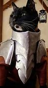 Image result for Cat in Armor Meme