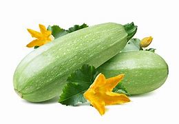 Image result for Grey Zucchini Squash Ready to Harvest