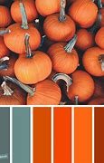 Image result for Autum Orange Color