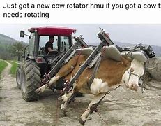 Image result for Tipping Cow Can Meme
