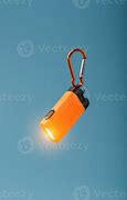 Image result for LED Flashlight with Carabiner