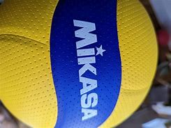 Image result for Mikasa 200W