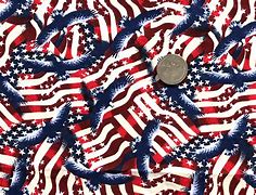 Image result for American Flag Eagle Fabric