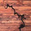 Image result for Vine Hooks