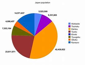 Image result for Pie-Chart Graphs in Japan