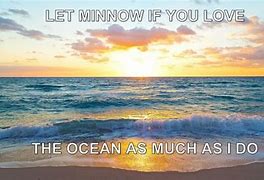 Image result for Ocean Puns Text