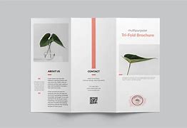 Image result for Tri-Fold Brochure Design Templates Minimal