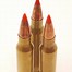 Image result for Red Max Ammo