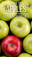 Image result for Guide to Apple Season