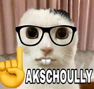 Image result for Cat Finger Meme